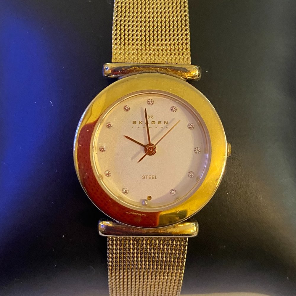 Skagen Denmark All Stainless Steel Quartz Ladies Watch